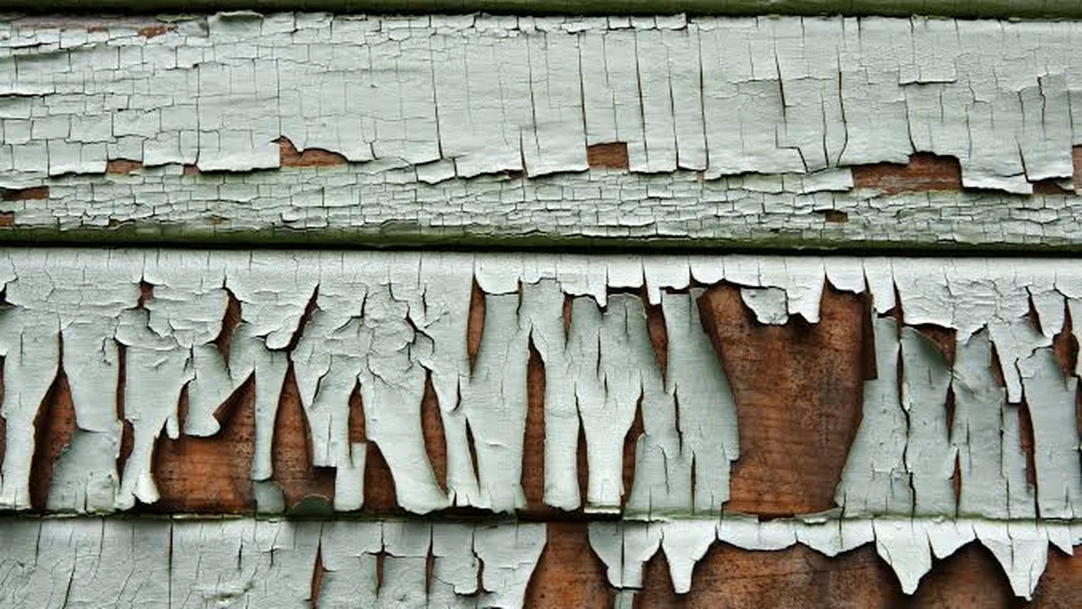Peeling blistering exterior paint on Seattle home — result of painting in wrong season or over damp wood