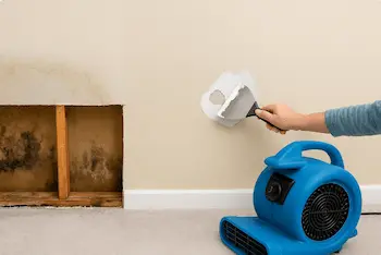 Emergency drywall repair services in Bothell for water damage and accidents