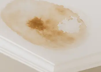 Water-damaged ceiling with brown stains and peeling paint in Bothell home